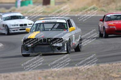 media/May-03-2025-Lucky Dog Racing (Sat) [[206de64b9d]]/Turn 4 A (3pm-4pm)/